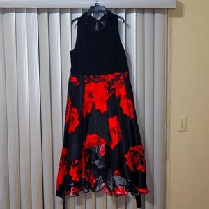 SLNY dress..woren once